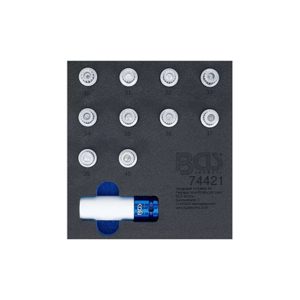 BGS 74421